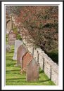 grave and berries * 643 x 910 * (237KB)